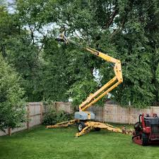 Best Tree Health Inspection  in USA